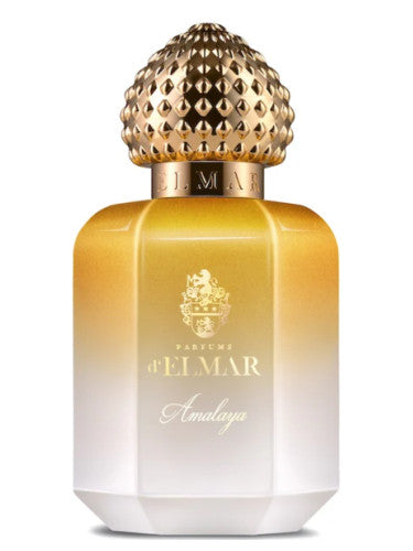 DELMAR Amalaya perfume bottle with gold textured cap and black luxury packaging buy Amalaya perfume online