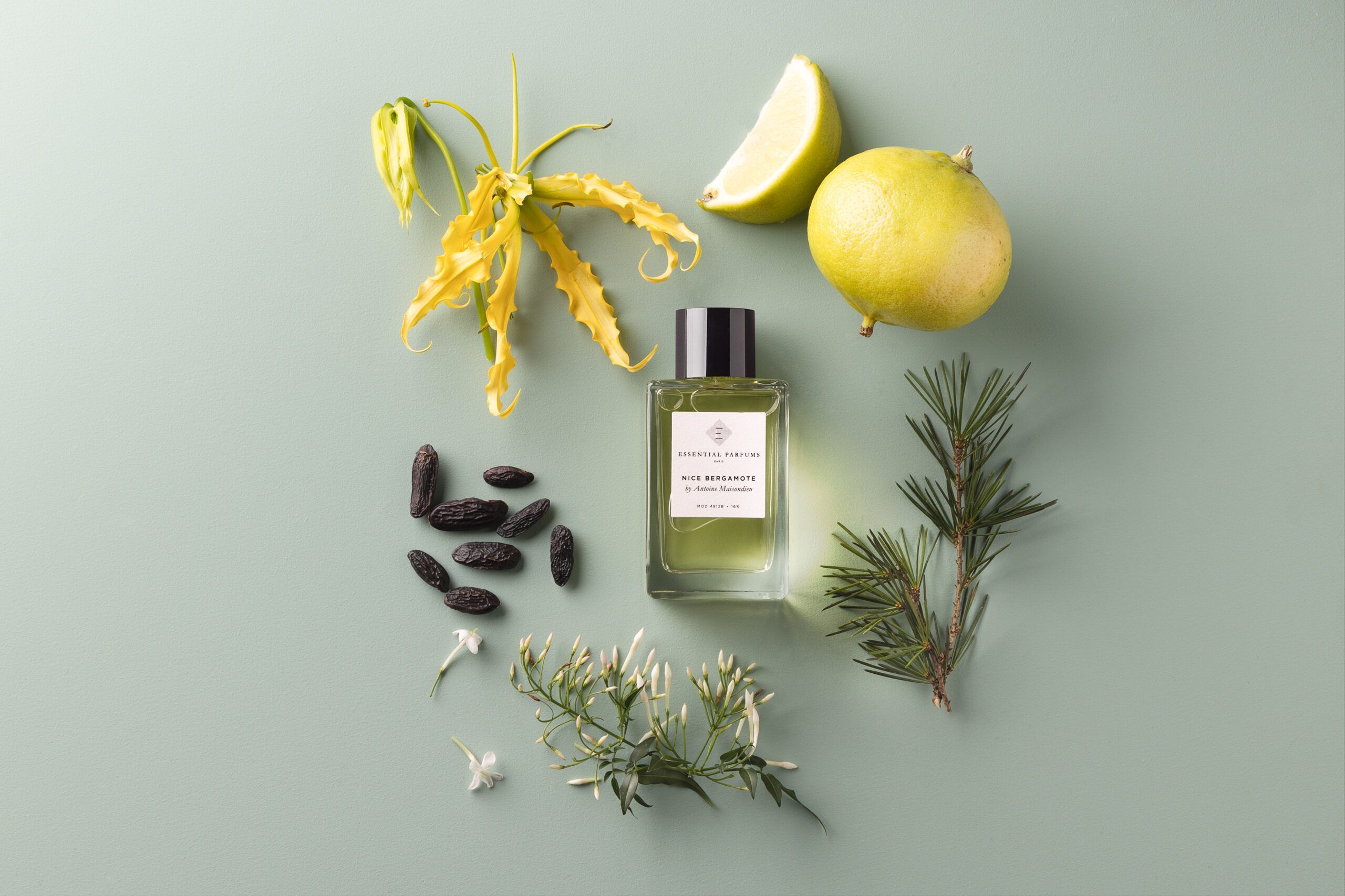 Essential Parfums Nice Bergamote perfume bottle surrounded by bergamot fruit, flowers, and pine branches
