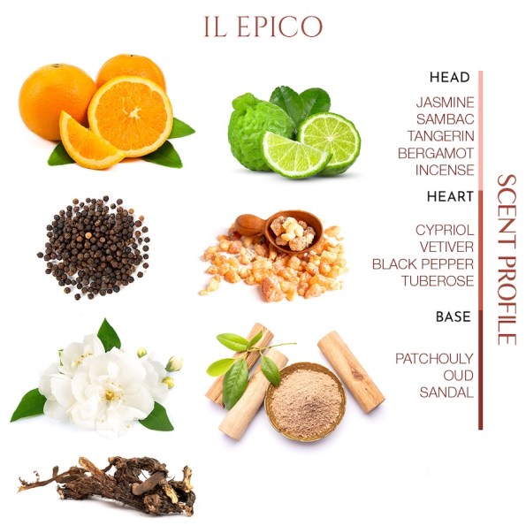IL EPICO perfume scent profile with notes of jasmine, tangerine, black pepper, patchouli, oud, and sandalwood
