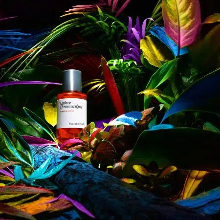 Maison Crivelli Ambre Chromatique perfume displayed among vibrant tropical foliage