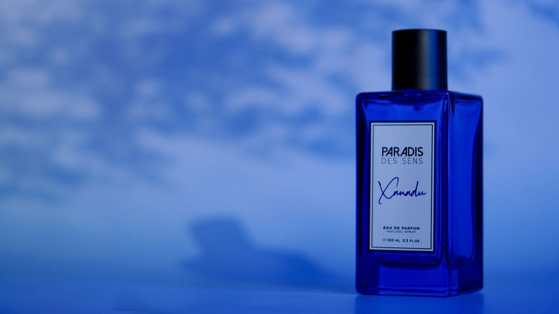 Paradis Des Sens Xanadu perfume blue bottle with black cap and white packaging box