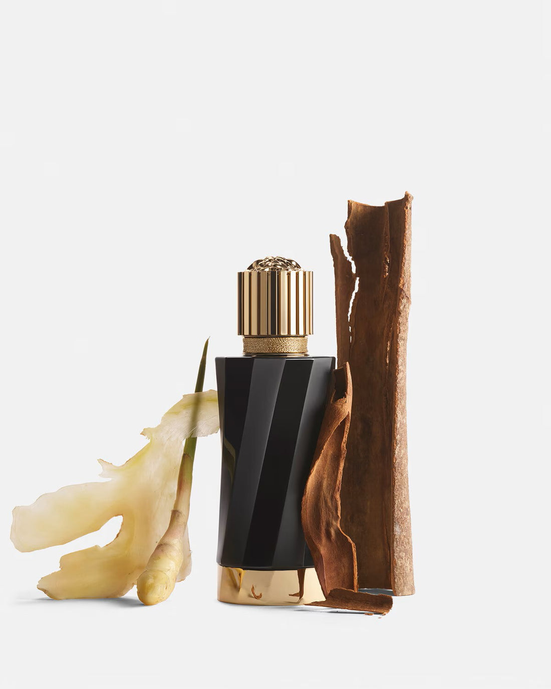 Versace Atelier Gingembre Petillant perfume bottle with ginger root and cinnamon sticks on white background