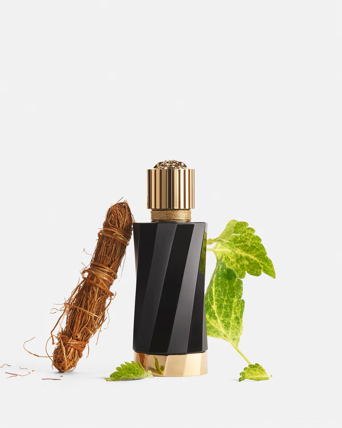 Versace Atelier Safran Royal perfume with black bottle gold cap alongside saffron and green leaves