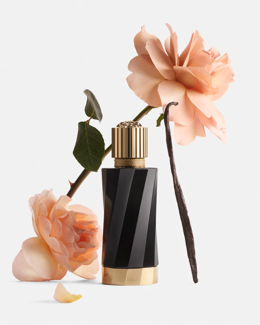 Versace Vanille Rouge perfume bottle with peach roses and vanilla bean on white background