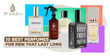 10 Best Long Lasting Perfume for Men in 2024