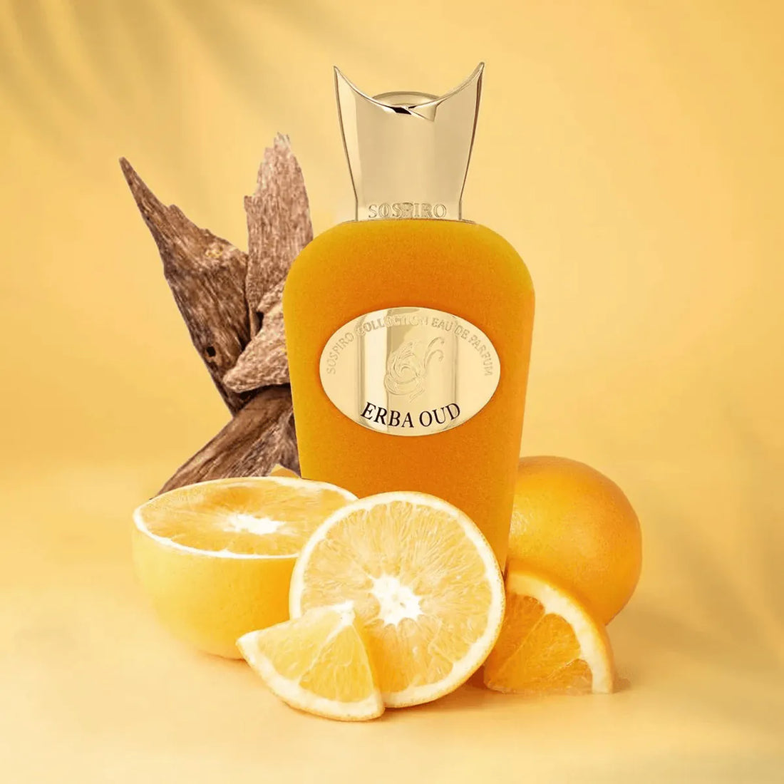 Erba Oud Eau De Parfum 100 Ml