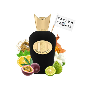 Erba Leather  Eau De Parfum 100 Ml