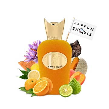 Erba Oud Eau De Parfum 100 Ml