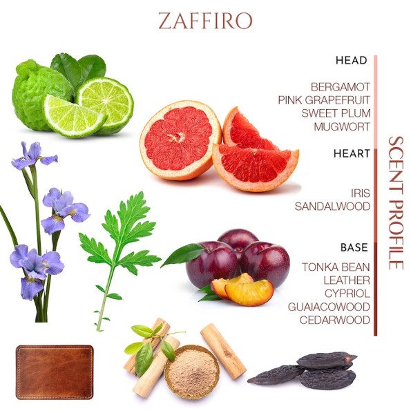 Zaffiro-Scent-Profile by the Scent Library UAE