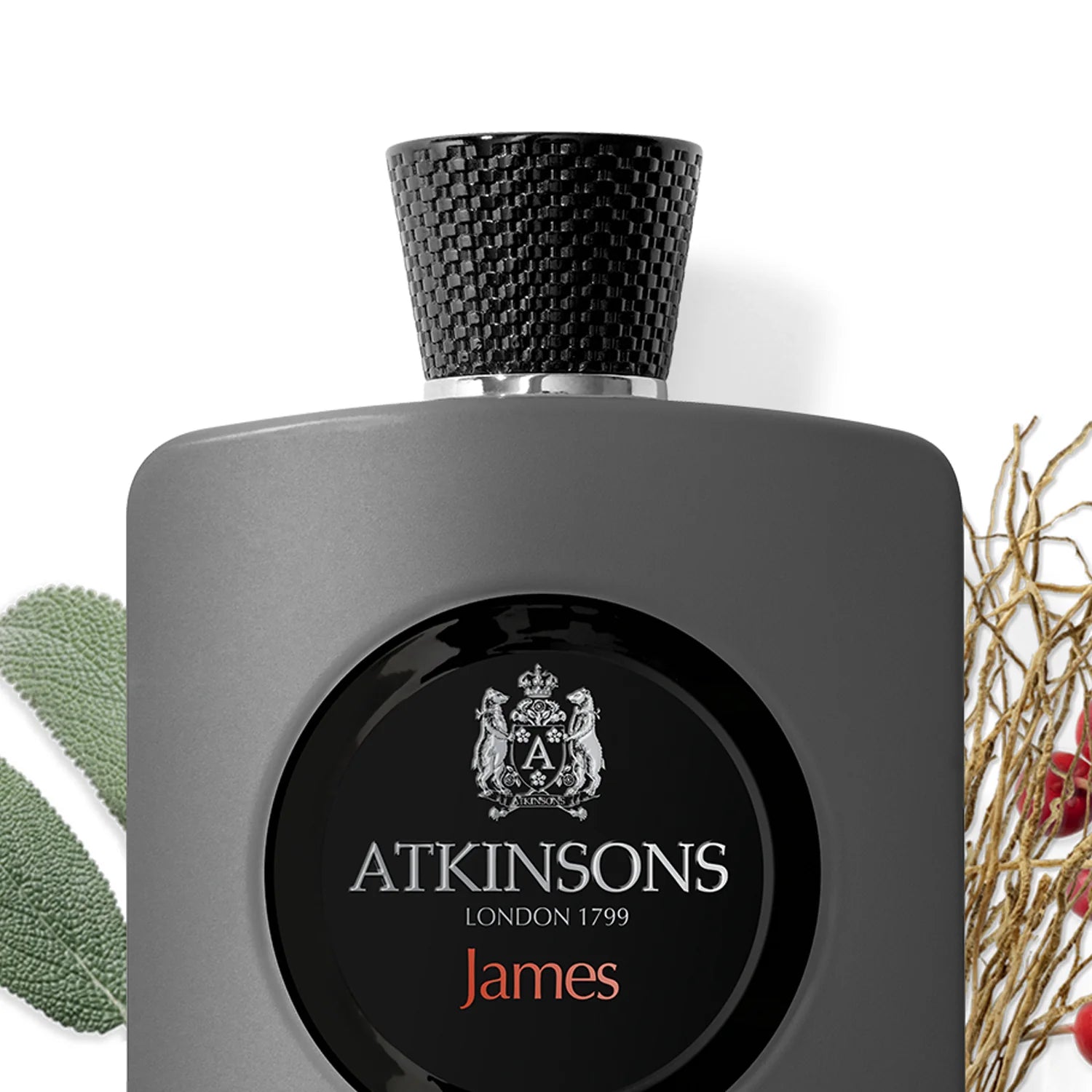 Atkinsons James Eau de Parfum 100ml bottle with black cap and elegant gray design