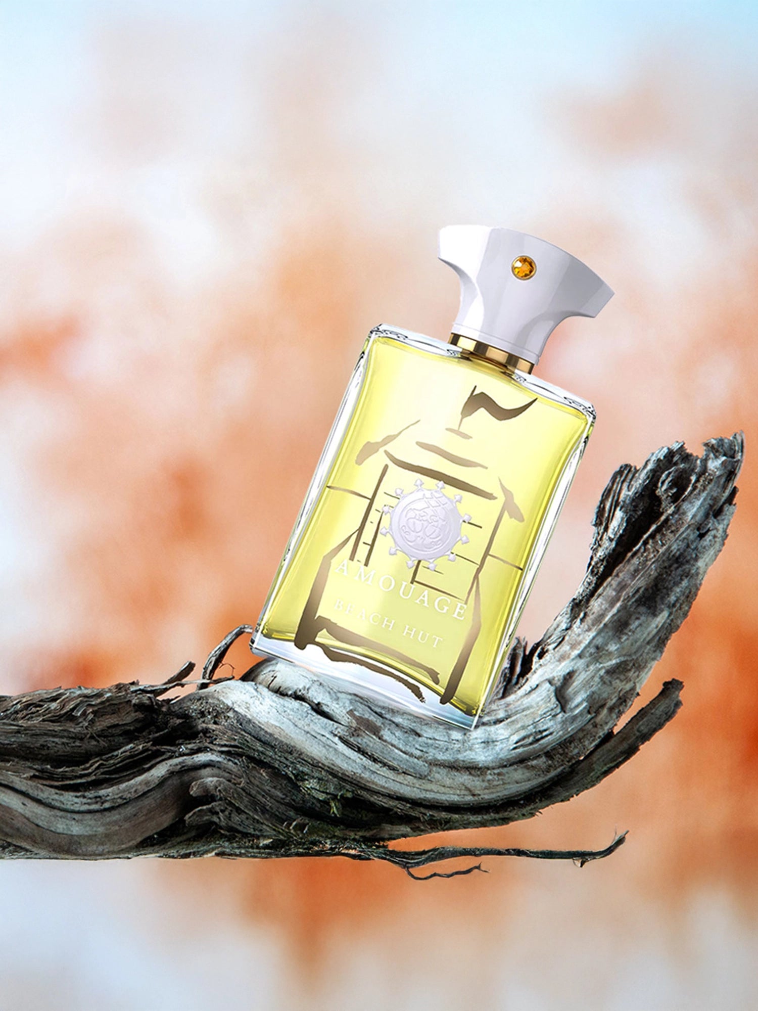 The Scent Library 
