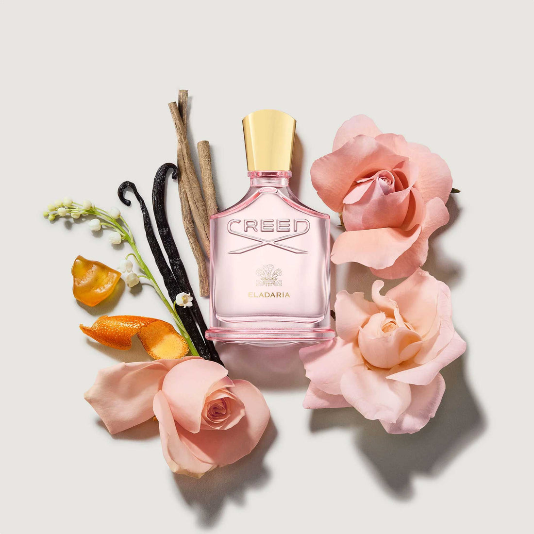 Creed Eladaria perfume Dubai with pink bottle surrounded by roses vanilla pods and citrus peel