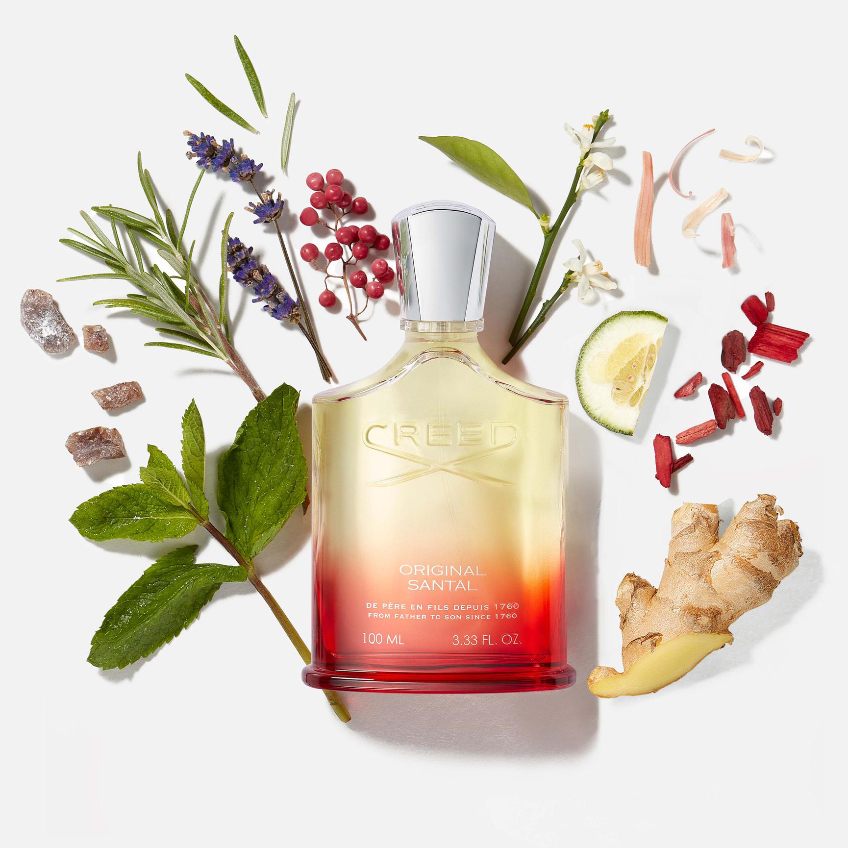 Creed Original Santal 100ml perfume bottle surrounded by natural ingredients like ginger, mint, and lavender