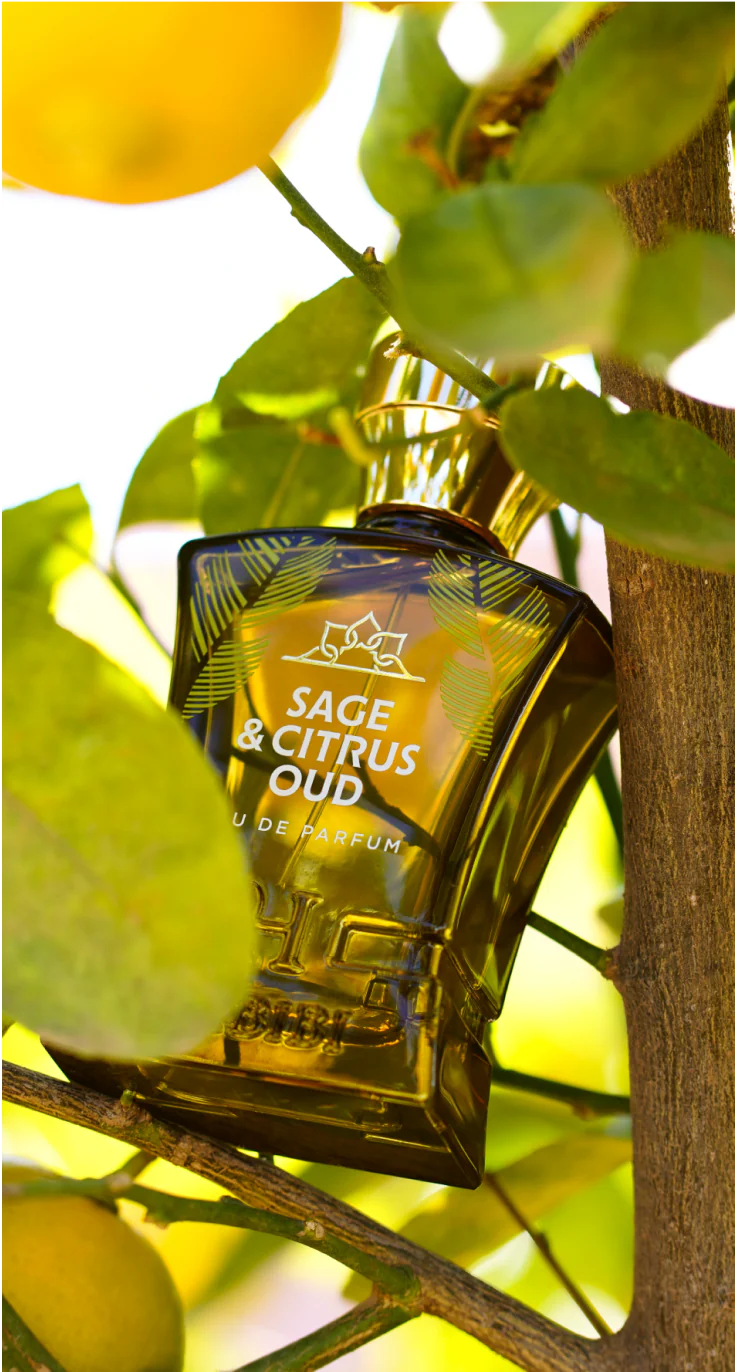 Habibi New York sage and citrus oud perfume bottle and box on natural wooden surface with leaves and citrus background