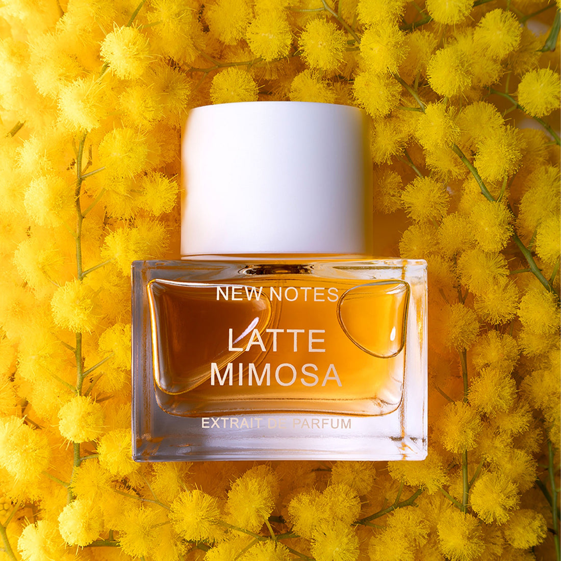 NEW NOTES Latte Mimosa Edp 50ml for sale perfume bottle with orange liquid and white cap
