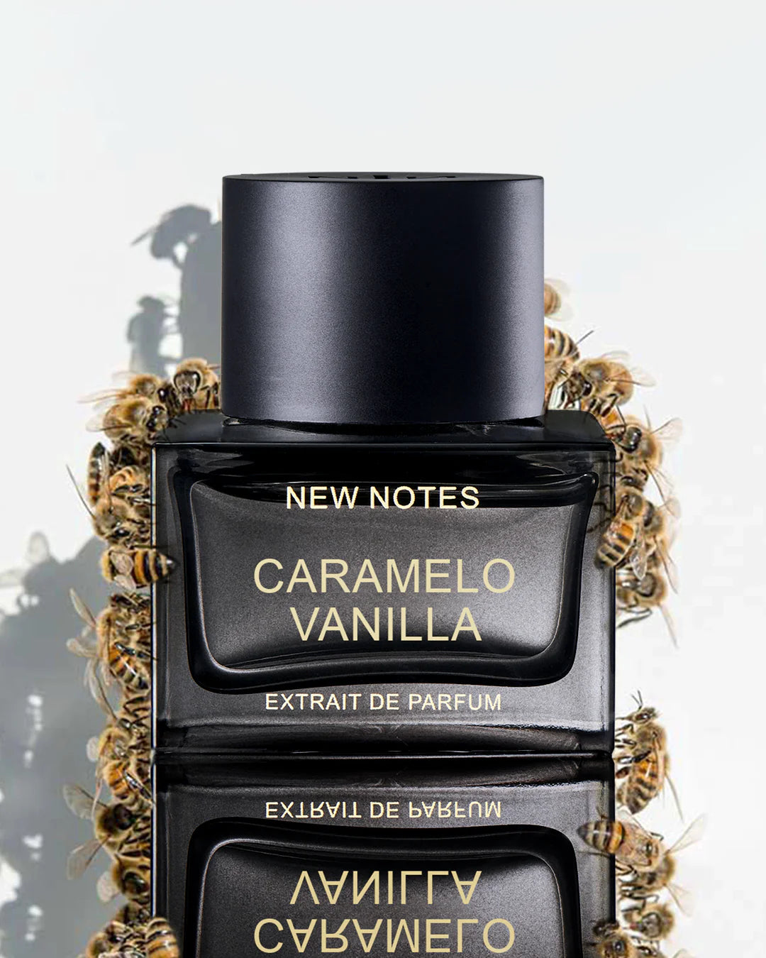 NEW NOTES Caramelo Vanilla Extrait De Parfum 50ml with caramel syrup dripping on black perfume bottle