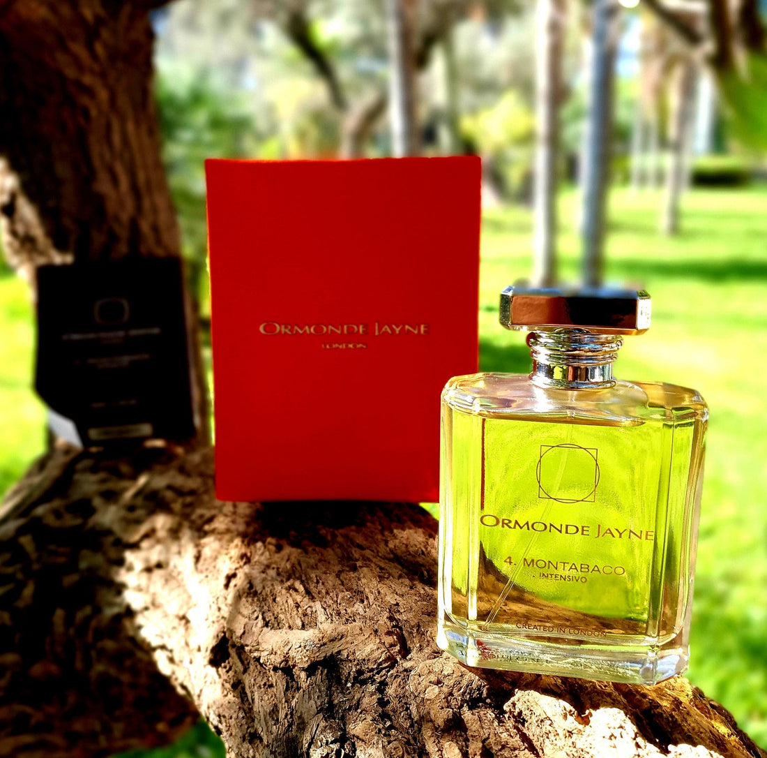 Ormonde Jayne Montabaco Intensivo 120ml perfume bottle with red box on tree bark outdoors