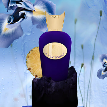Accento Viola  Eau De Parfum 100 Ml