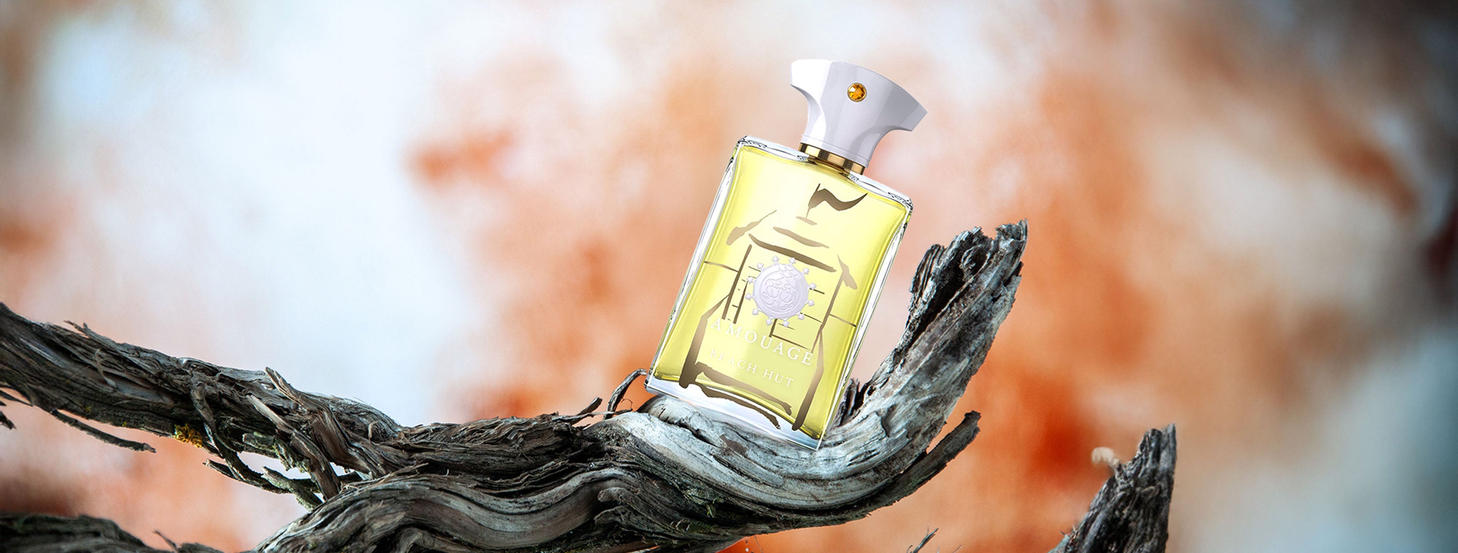 The Scent Library 