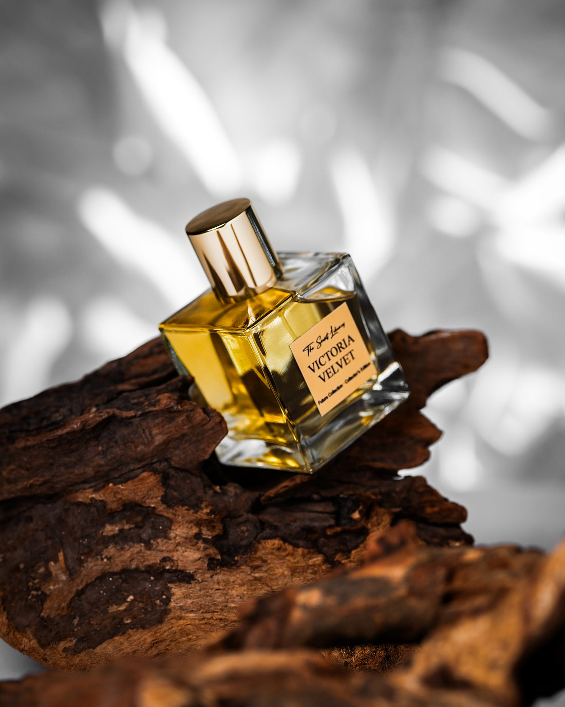 Victoria Velvet eau de parfum by The Scent Library, a clear square glass bottle with a gold cap and amber fragrance, Past Collection